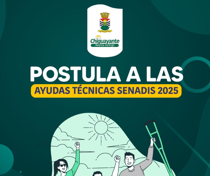 senadis2025.png